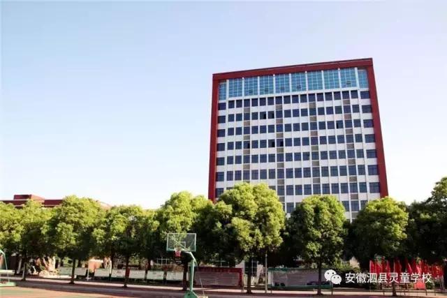 泗县灵童学校教师招聘,泗县灵童幼儿园招聘