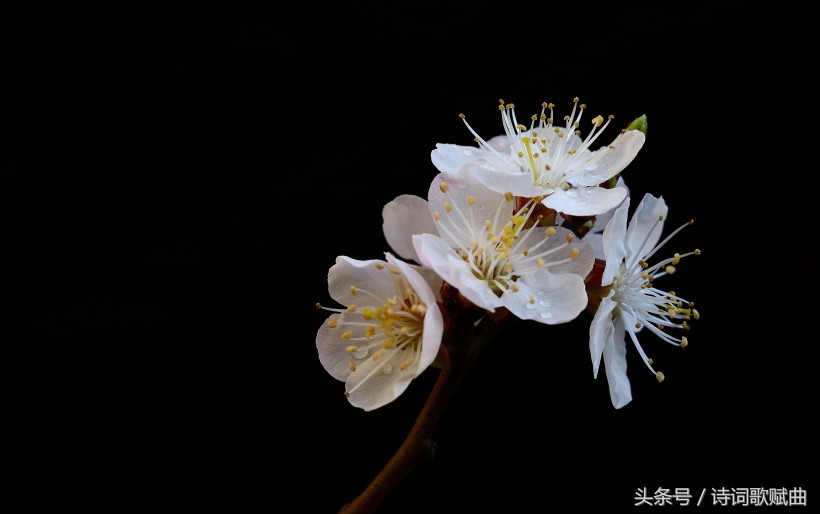 南怀瑾一切修行皆在修心,南怀瑾人生哲理经典语录