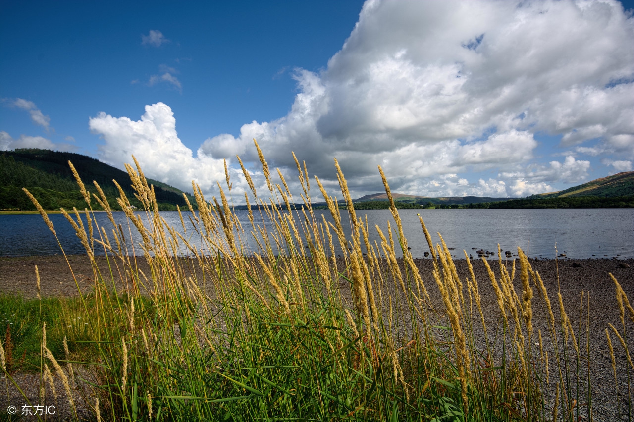 围炉夜话作者是谁,围炉夜话全文及译文