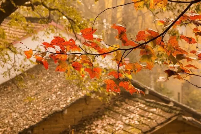 不要去杭州,杭州西湖值得去的地方