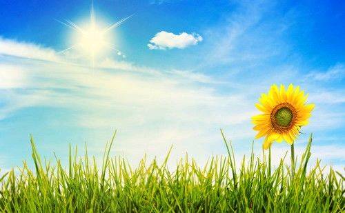 让善缘延续2019,人生贵在结善缘的感悟