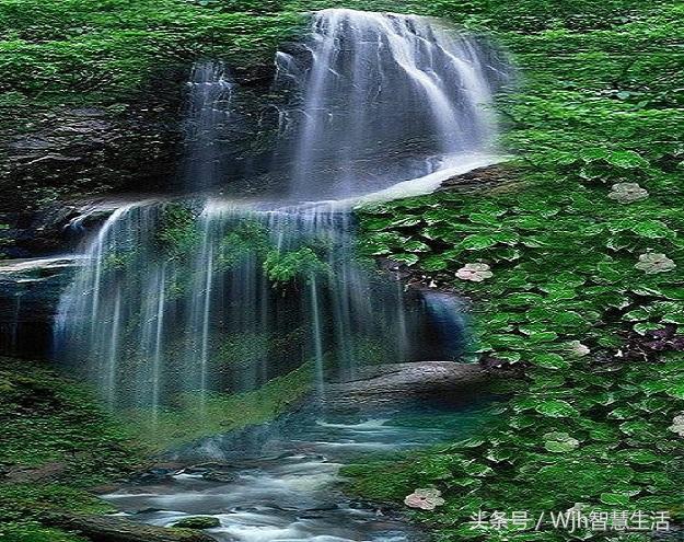 鬼谷子等十部书都有什么,鬼谷子写的什么经