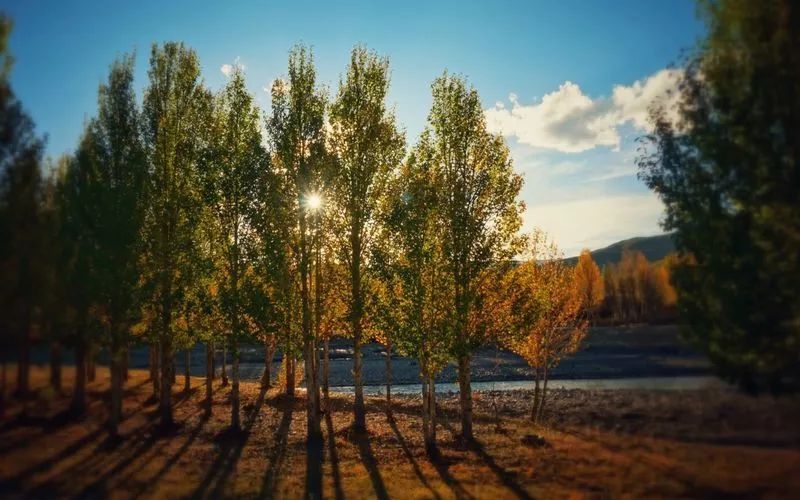 往后余生，我想和你有个家，就在稻城亚丁！