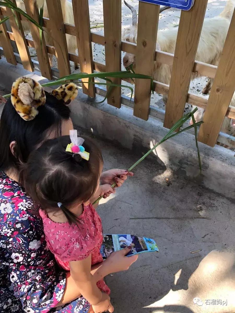 骞垮窞闀块殕椋為笩涔愬洯绁ㄤ环,闀块殕椋為笩涔愬洯灏忓绁ㄤ环