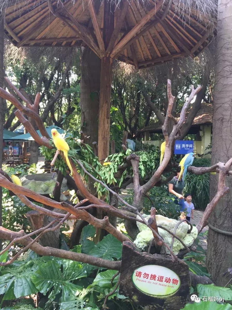 骞垮窞闀块殕椋為笩涔愬洯绁ㄤ环,闀块殕椋為笩涔愬洯灏忓绁ㄤ环