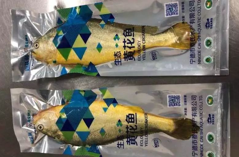 预告｜易采鲜生即将亮相青岛渔博会，招募全国运营商！