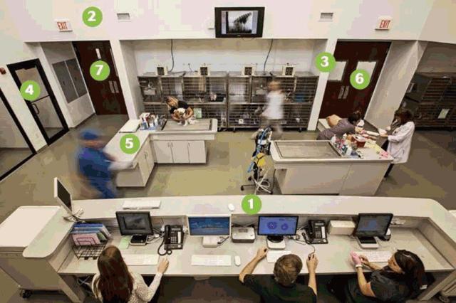 宠物皮肤病科普和治疗,宠物医生奇葩问题