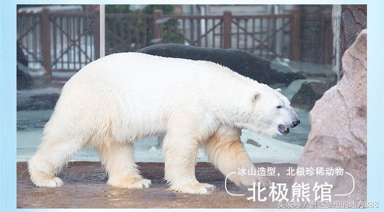 珠海长隆科学酒店攻略,长隆套票二天一晚攻略