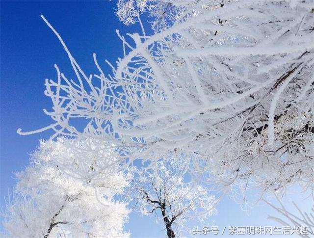 紫塞明珠农家游｜吉林雾凇岛八旗驿站，探索夜看雾，晨看挂的秘密