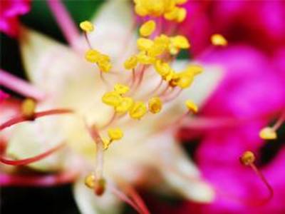 单反数码摄影入门教程,数码单反摄影进阶完全教程