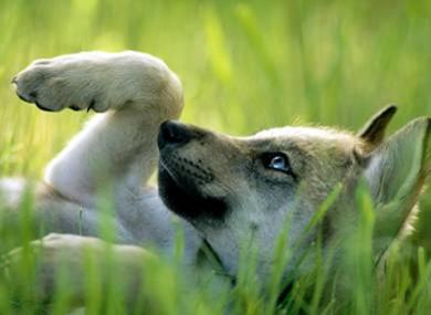 数码单反摄影教程,数码单反摄影进阶完全教程