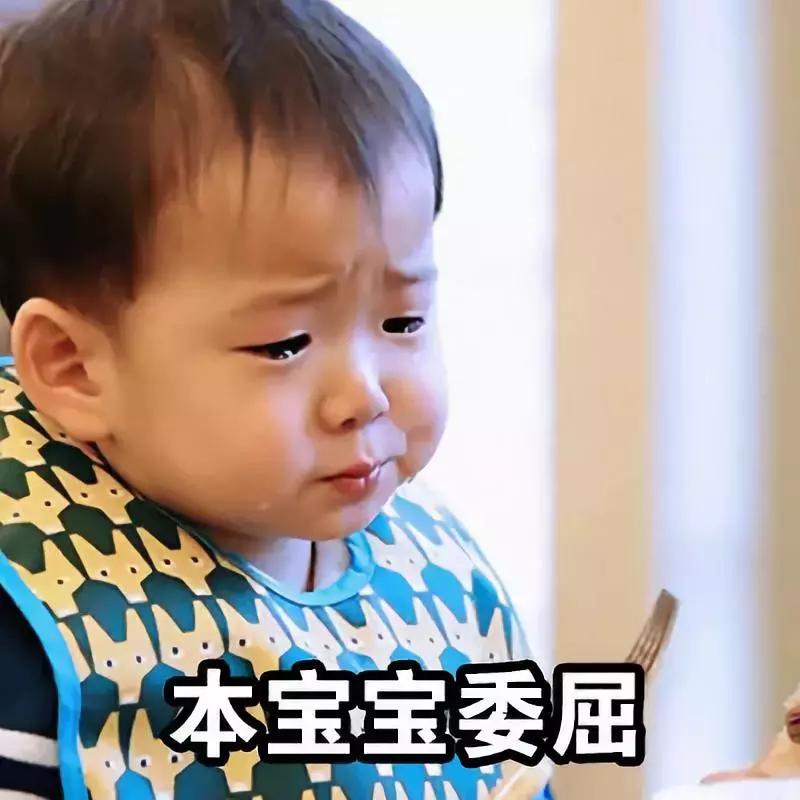 「奇葩」加拿大男子鲨鱼池里裸泳,虎鲨:“这条小蚯蚓我没兴趣”