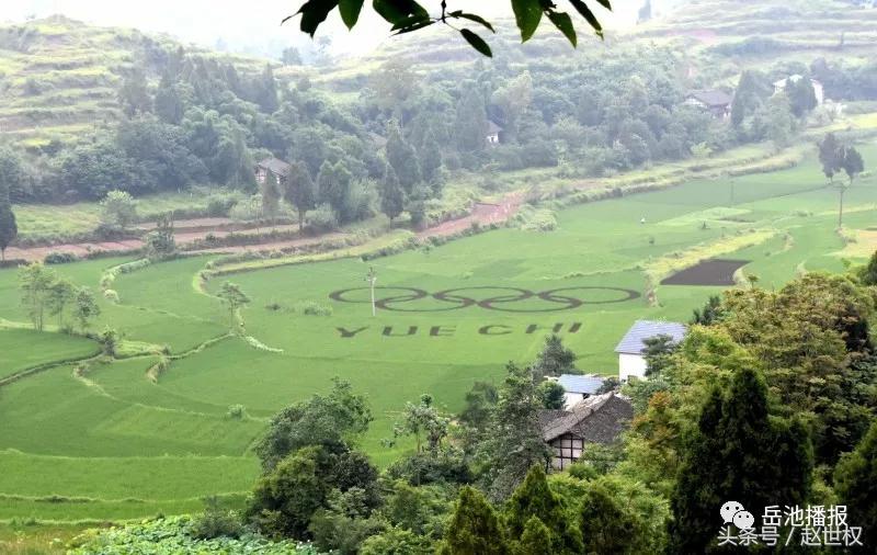 岳池最近发展,岳池未来如何发展