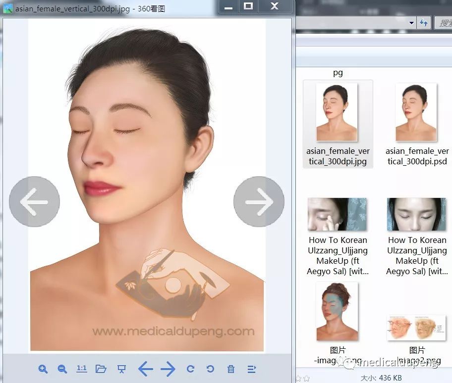 医学插画插图,医学插画sci