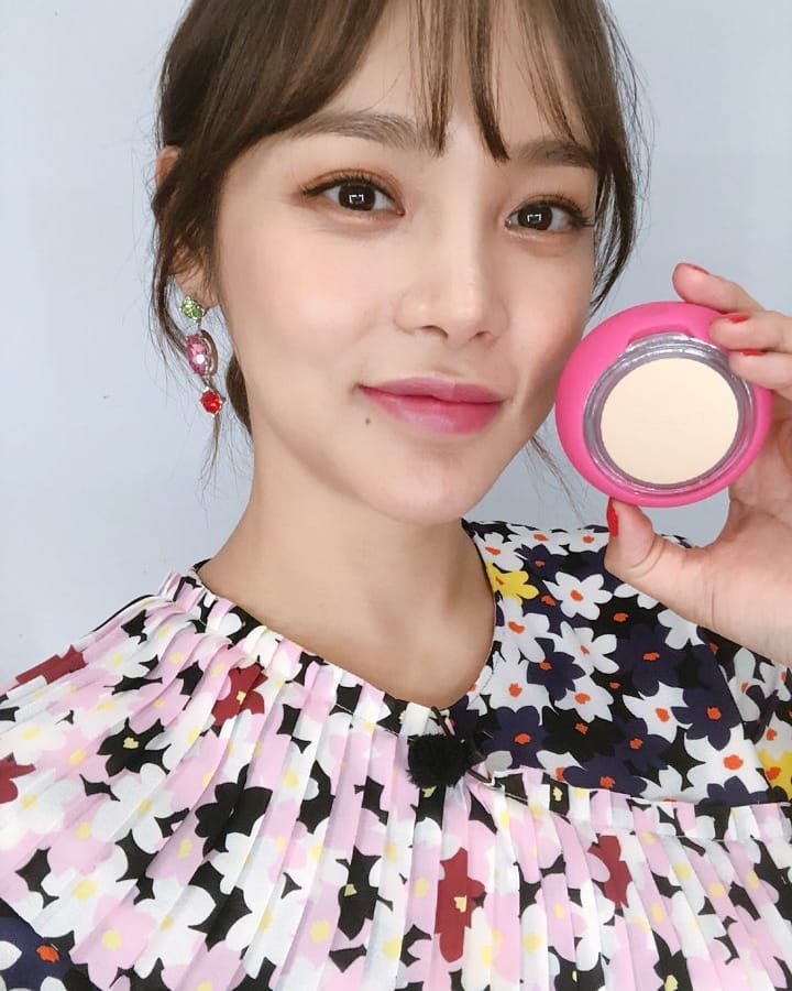 河智苑的韩国艺人,河智苑韩流