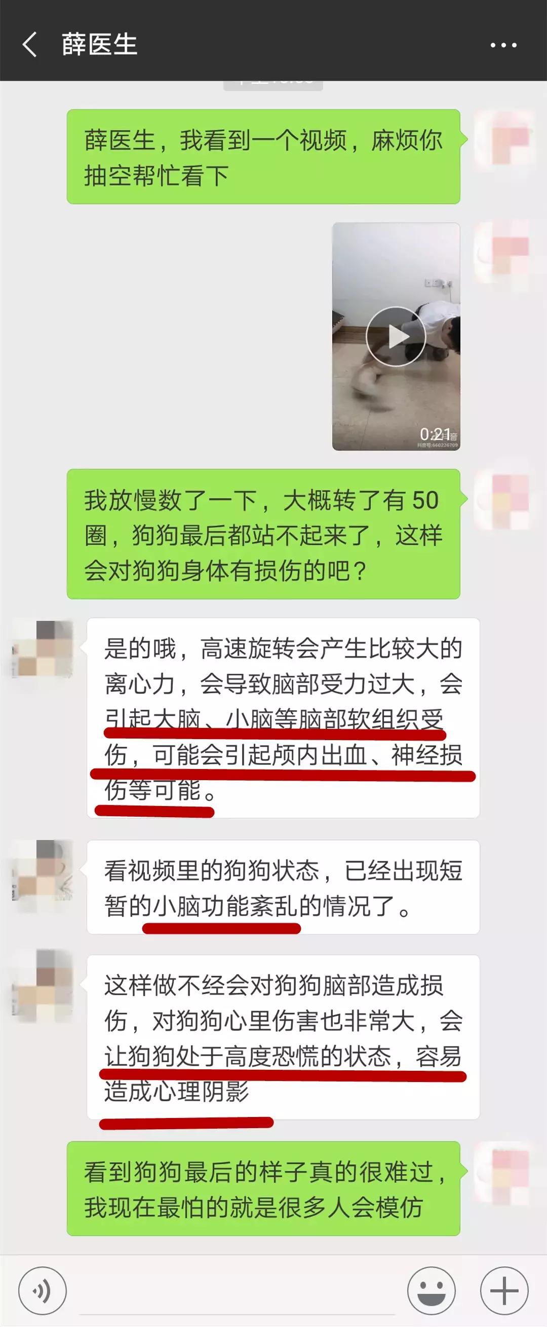 20秒转狗40圈！这家网红店，求求你放过狗吧！