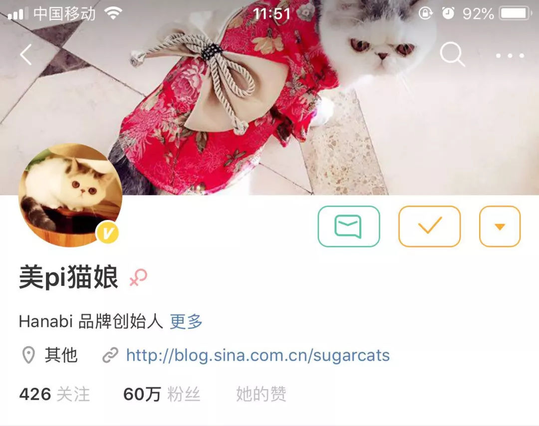 猫娘售假事件,猫娘售假