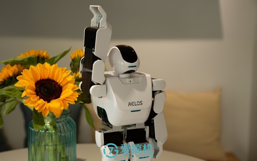 阿尔法悟空机器人评测,aelos智能机器人基本教程