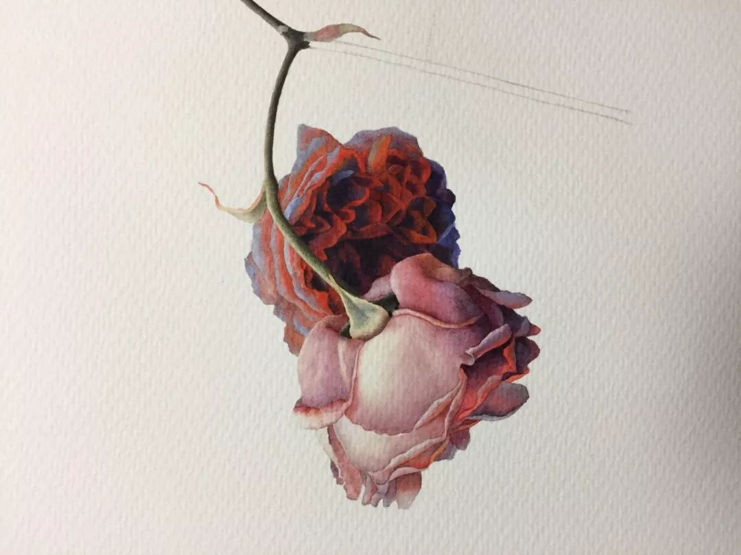 情人节用丙烯画画,情人节教我们画玫瑰