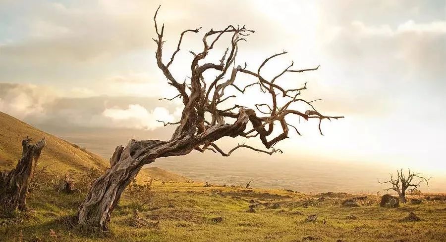 蛀牙三颗算多吗,蛀牙是怎么吃掉牙齿的