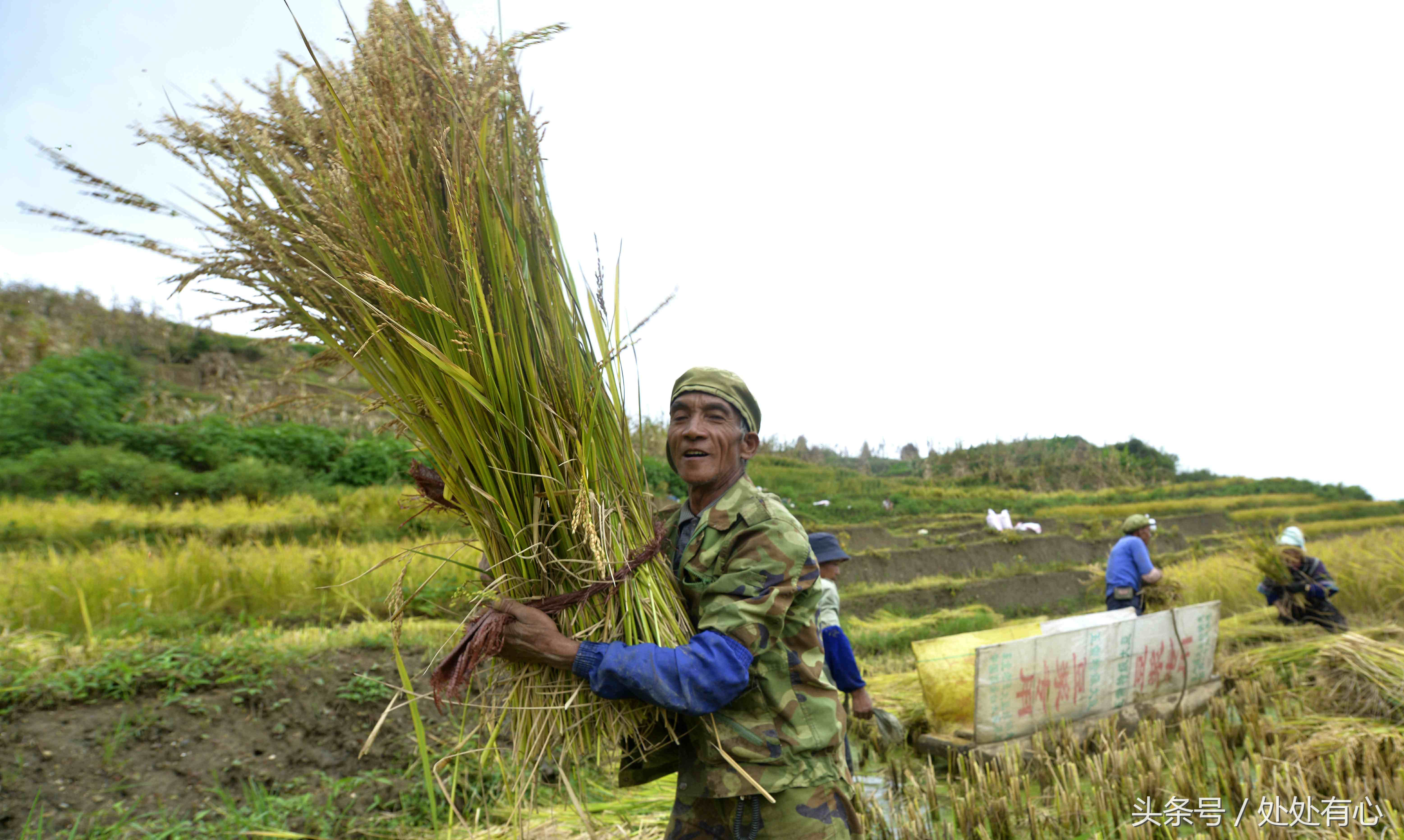老人常说吃杂粮,老人说吃饭要吃烫的对吗