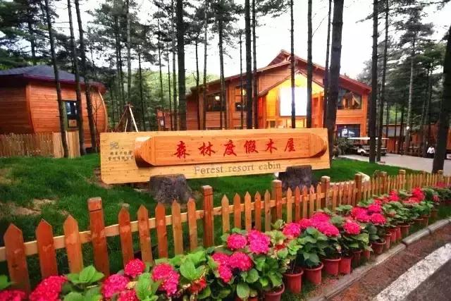 2019河南最美民宿,河南值得住的民宿推荐