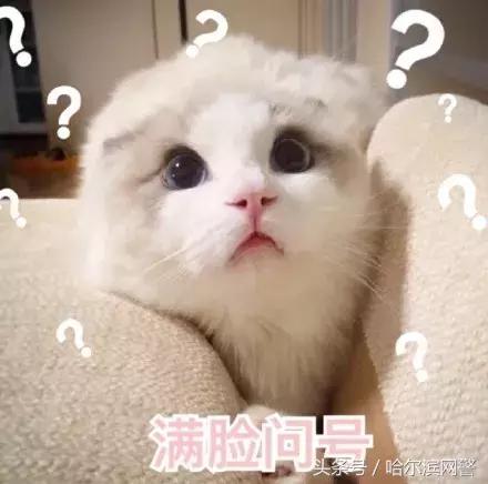 中国锦鲤的套路有哪些呢,中国锦鲤为什么火了