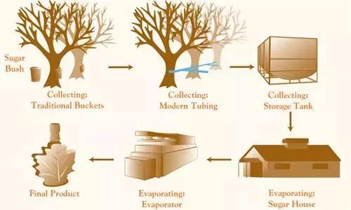 加拿大是一个好山好水的地方
