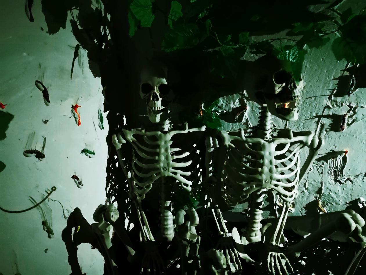 合肥万达游乐园攻略,合肥万达鬼屋介绍