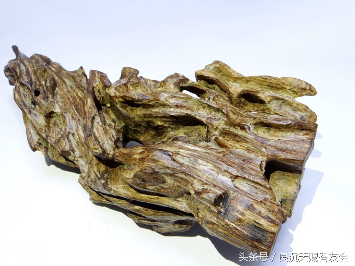 沉香的种类及鉴别方法,沉香种类及图解大全