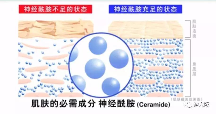 珂润面霜保湿和滋润哪个好用,珂润面霜哪款比较滋润好