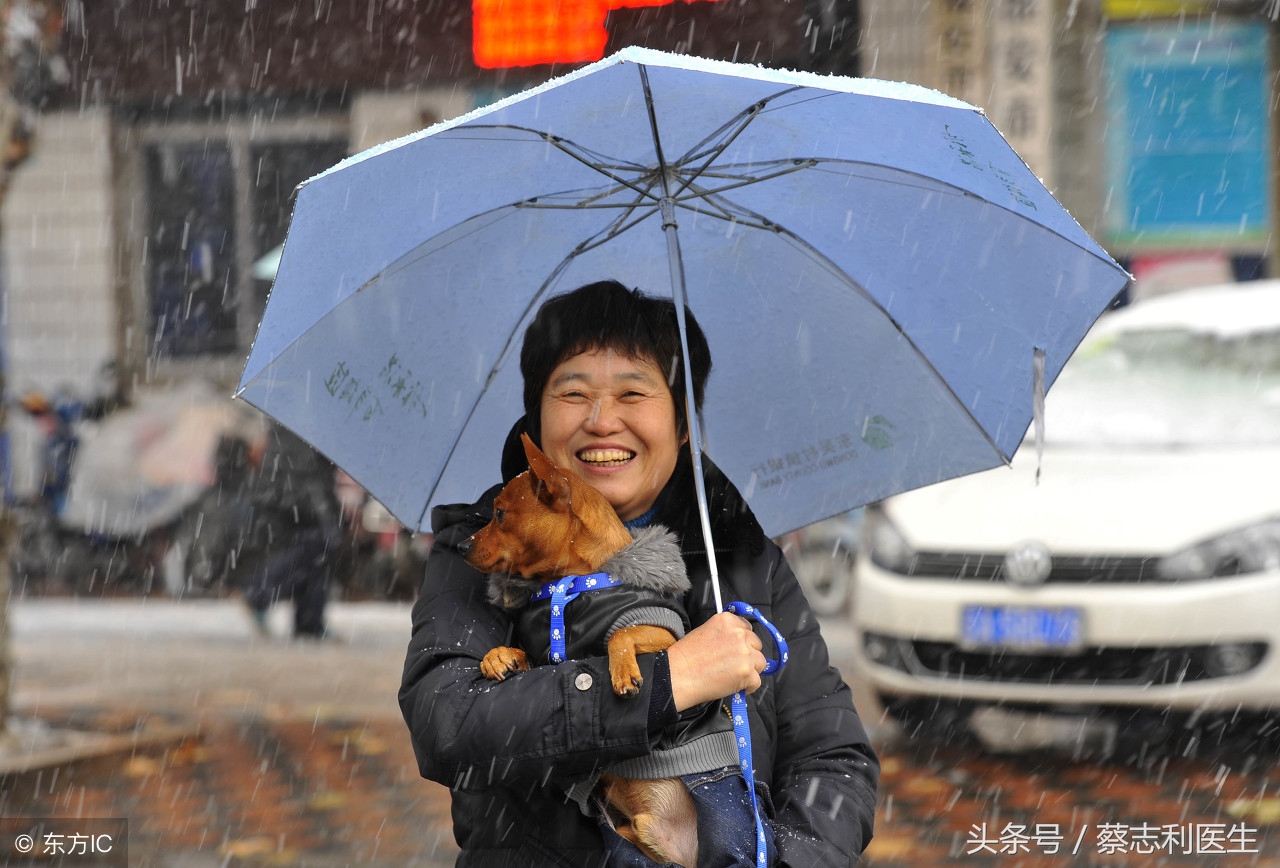 你可相信？流浪猫治好了她的抑郁症