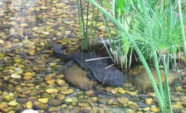 南京汤山温泉天气,汤山风景区秋天