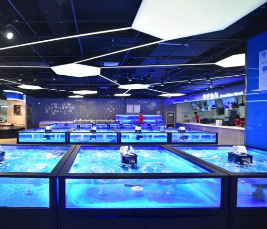 不输三亚第一市场！合肥这家店的波龙海胆帝王蟹……简直太zán了