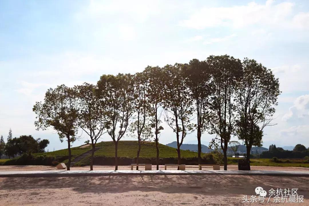 9090000㎡！余杭新增一大型公园，1299个足球场大！