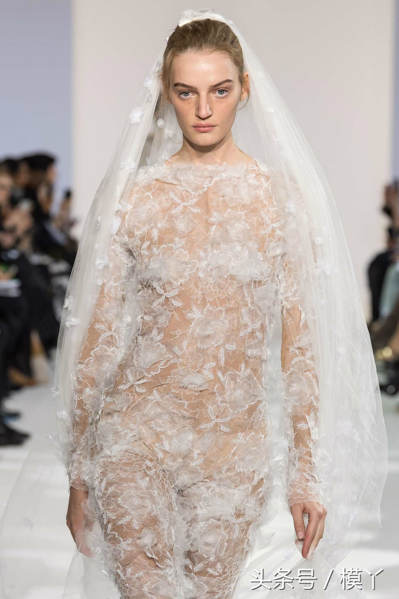 celiakritharioti楂樺畾,celiakritharioti濠氱罕