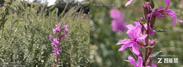 vivox23全面评测,vivox23个人评测别无他意