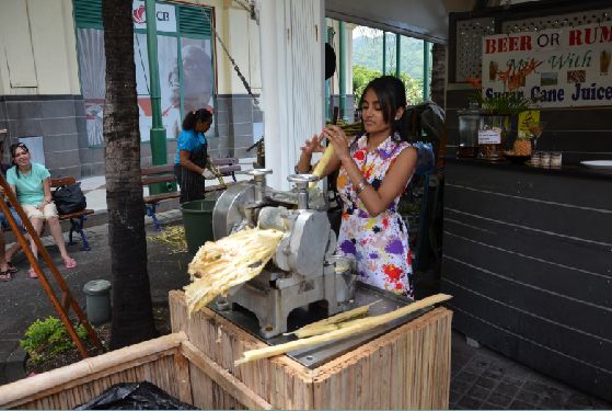 毛里求斯为什么被称为天堂原乡,攻略告诉你关于毛里求斯的一切