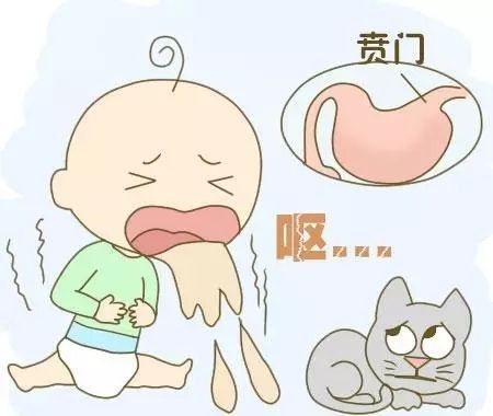 为什么宝宝不肯吃辅食,为什么宝宝不肯吃粥