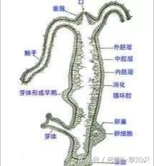 八年级上册地理生物知识,八年级上册生物知识与能力答案