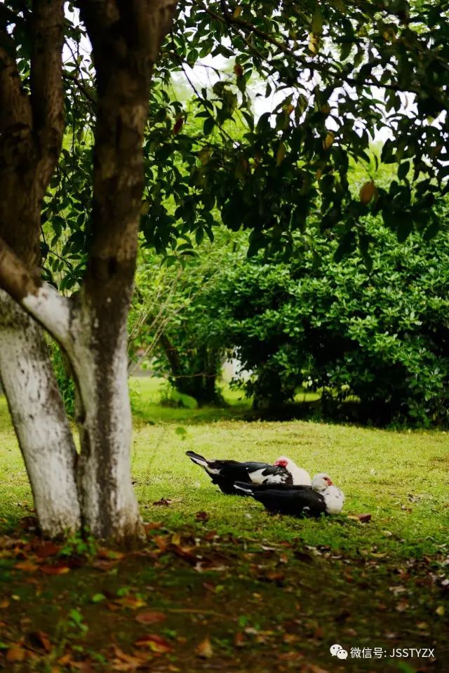 无锡天一和省锡中哪个好,无锡大桥高中和天一高中哪个好