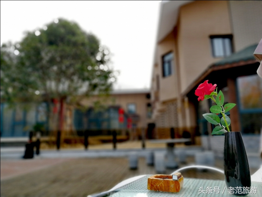 赏山赏水享人生,赏景温泉