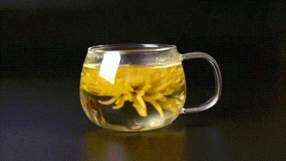 菊花什么人不建议吃呢,菊花可以吃下去吗