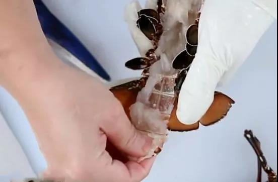 如何处理龙虾才是正确方法,龙虾活虾怎么处理最快又干净