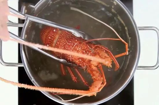如何处理龙虾才是正确方法,龙虾活虾怎么处理最快又干净