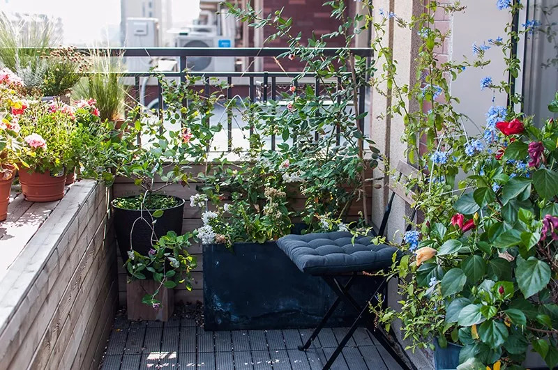 58平米老破房神级爆改,28平米老房爆改精致四居后续