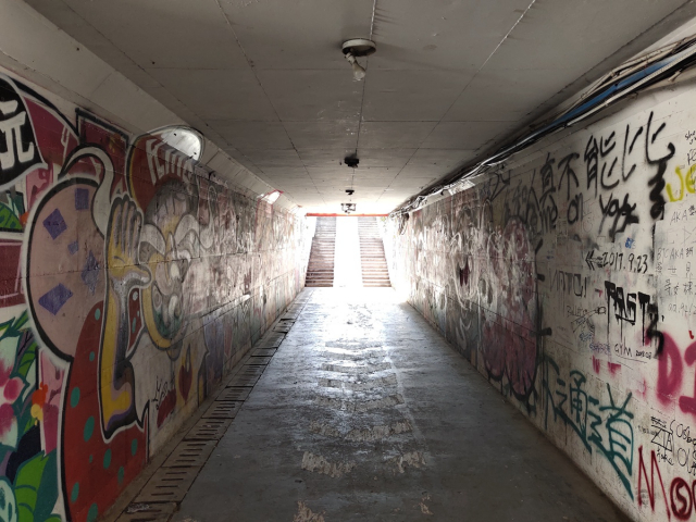 内外兼修软硬兼备vivox23评测,vivox23上手体验感觉好吗