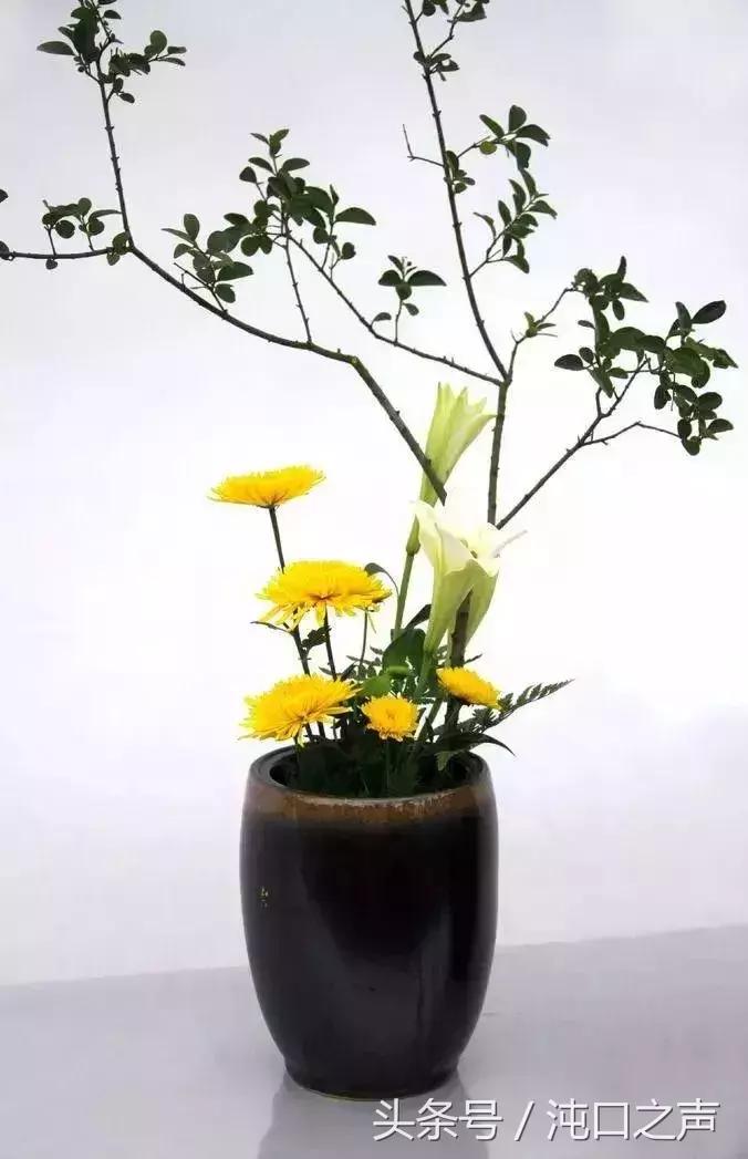 武汉第四十届菊展分别在哪里,武汉江滩第三十八届金秋菊展