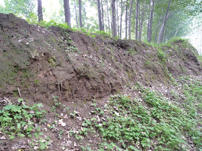 乡村记忆菏泽单县,乡村记忆安乐镇