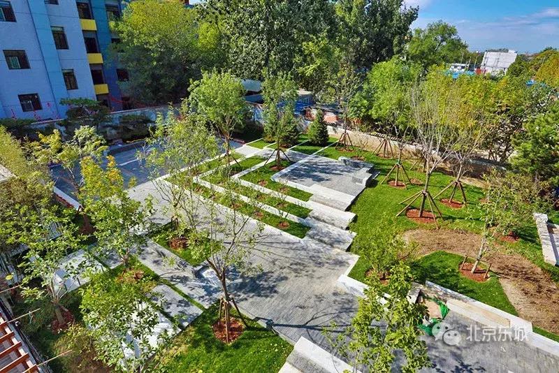 东四块玉口袋公园请您来播绿